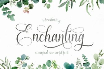 Beautiful Fonts for Script Lettering Projects